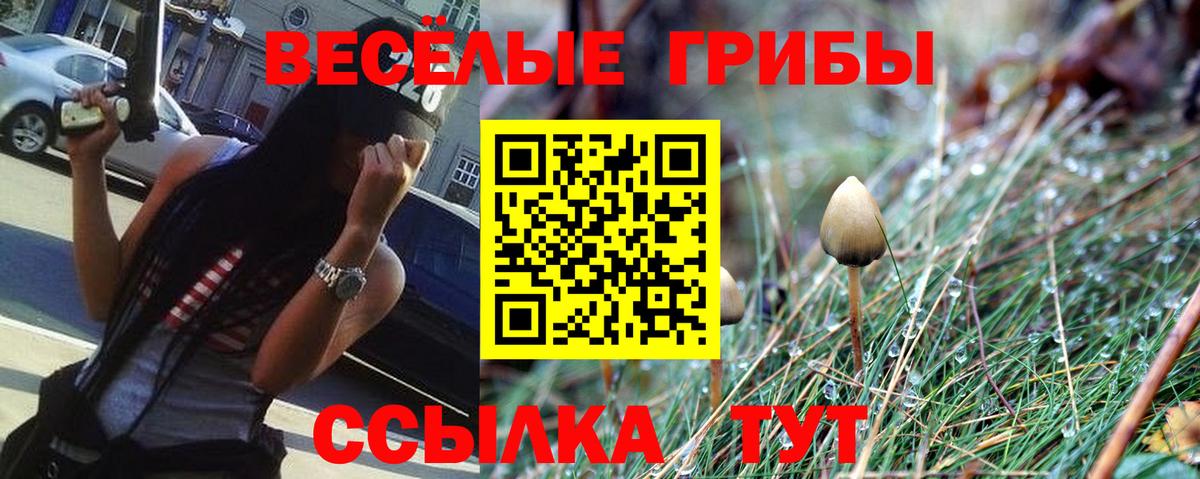 купить  цена  Галлюциногенные грибы Psilocybine cubensis  Вход с VPN  Абакан  Псилоцибиновые грибы Magic Shrooms 