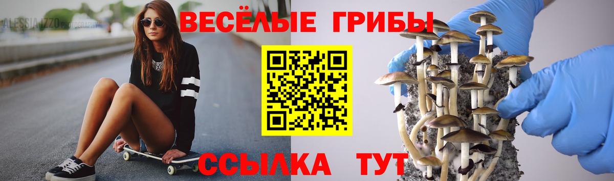 Псилоцибиновые грибы ЛСД Абакан